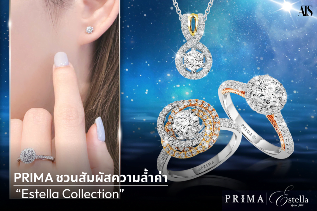 Estella Collection PRIMA Thailand